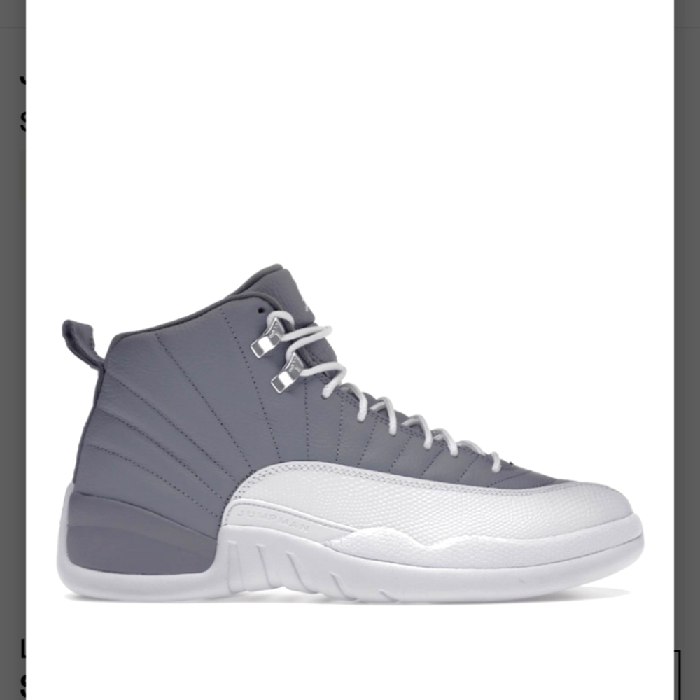 Jordan 12 "stealth"